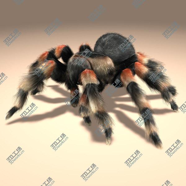 images/goods_img/20210312/Tarantula (ANIMATED) (FUR)/1.jpg